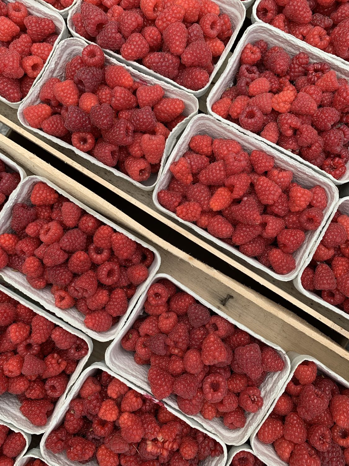 Himbeeren in Schalen