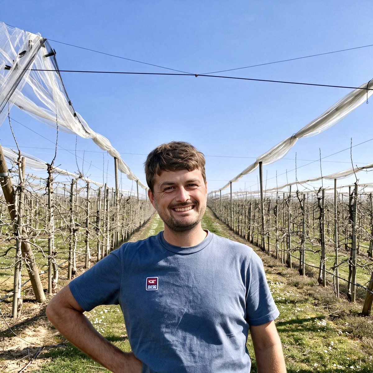 Benny in der Apfelanlage vor aufgerollten Hagelnetzen und blauem Himmel